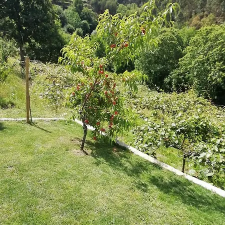 Quinta Do Moinho *